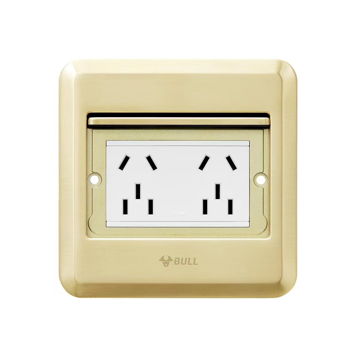 GD8Z256二位小五孔翻盖式方形地脚插座（金色）